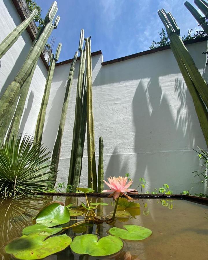 Casa Mayo B&B Oaxaca Exteriér fotografie